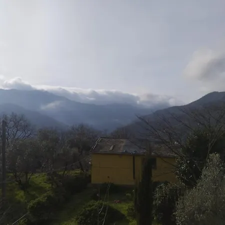 Casa Tulipie Il Verde Ti Accoglie E Il Mare Ti Aspetta Διαμέρισμα