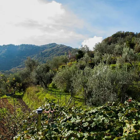 Casa Tulipie Il Verde Ti Accoglie E Il Mare Ti Aspetta * Uscio