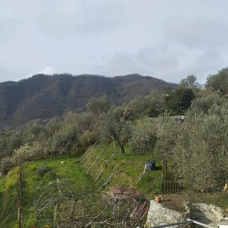 Διαμέρισμα Casa Tulipie Il Verde Ti Accoglie E Il Mare Ti Aspetta
